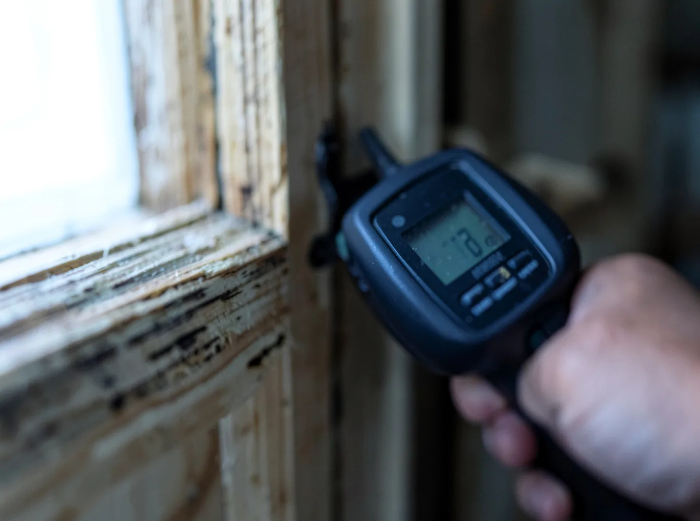 Moisture Inspection And Documentation in Little River, SC
